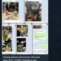 Не дайте себя обмануть