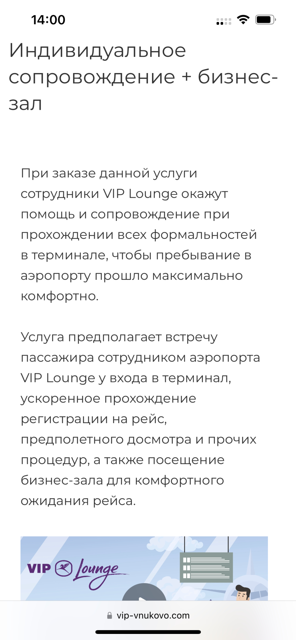 Аэропорт Внуково - Самое ужасное Индивидуальное сопровождение