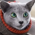 Яна Ромашкина