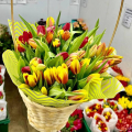 Отзыв о Panin Plants: просто спасибо
