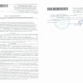 Установили сумму выплаты в размере 20%