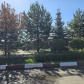 И совсем недалеко от Москвы