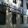 Ветеринарная клиника