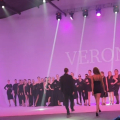 О перспективе в Verona