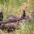 Море впечатлений! Спасибо за грамотно подобранный тур