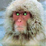 Костя Relo