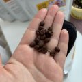 Теперь дарить эмоции близкому человеку на расстоянии намного проще