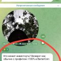 Мошенник из Екатеринбурга