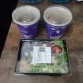 Отзыв о Доставка еды от компании "Достаевский": Протухший тофу в продуктах