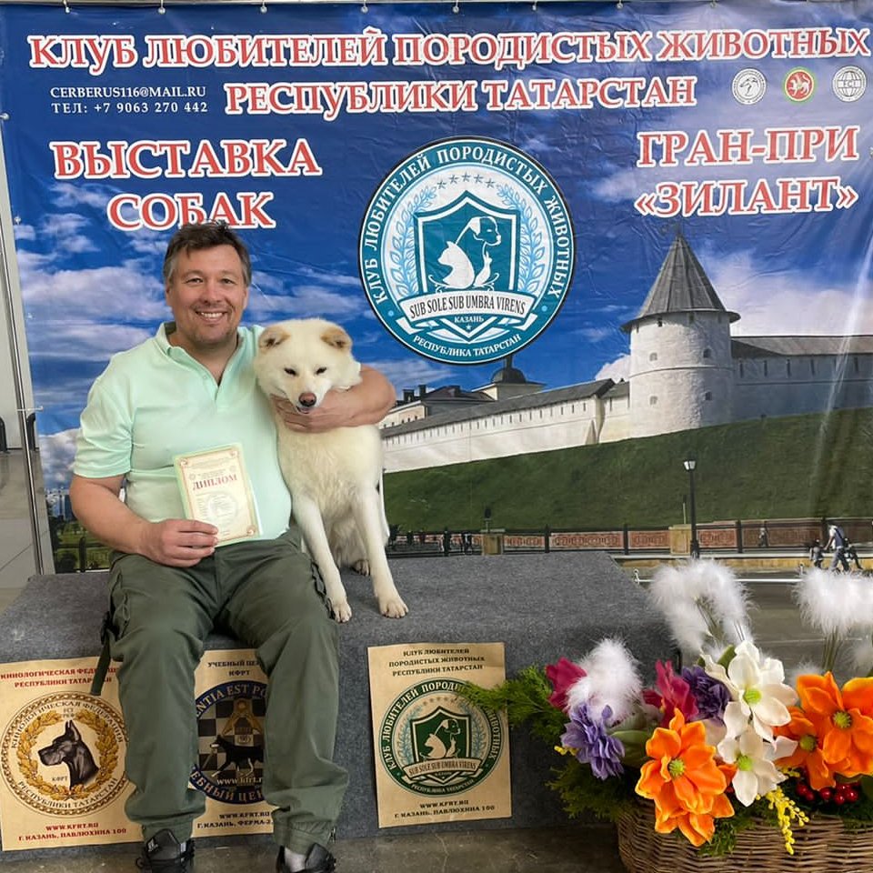 Дрессировщик Алтайский Игорь Борисович - Игорь Алтайский эксперт кинолог