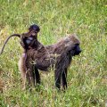 Море впечатлений! Спасибо за грамотно подобранный тур