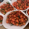 отзыв о Panin plants