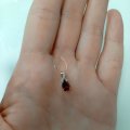 Отзыв о Магазин Diamant: Прекрасный подарочек сестре