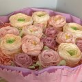 Шикарный курс