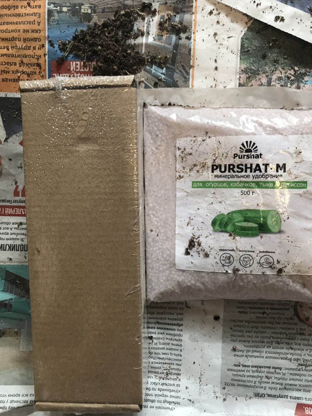Магазин саженцев РУСАД.РФ - Покупка в Русад.рф