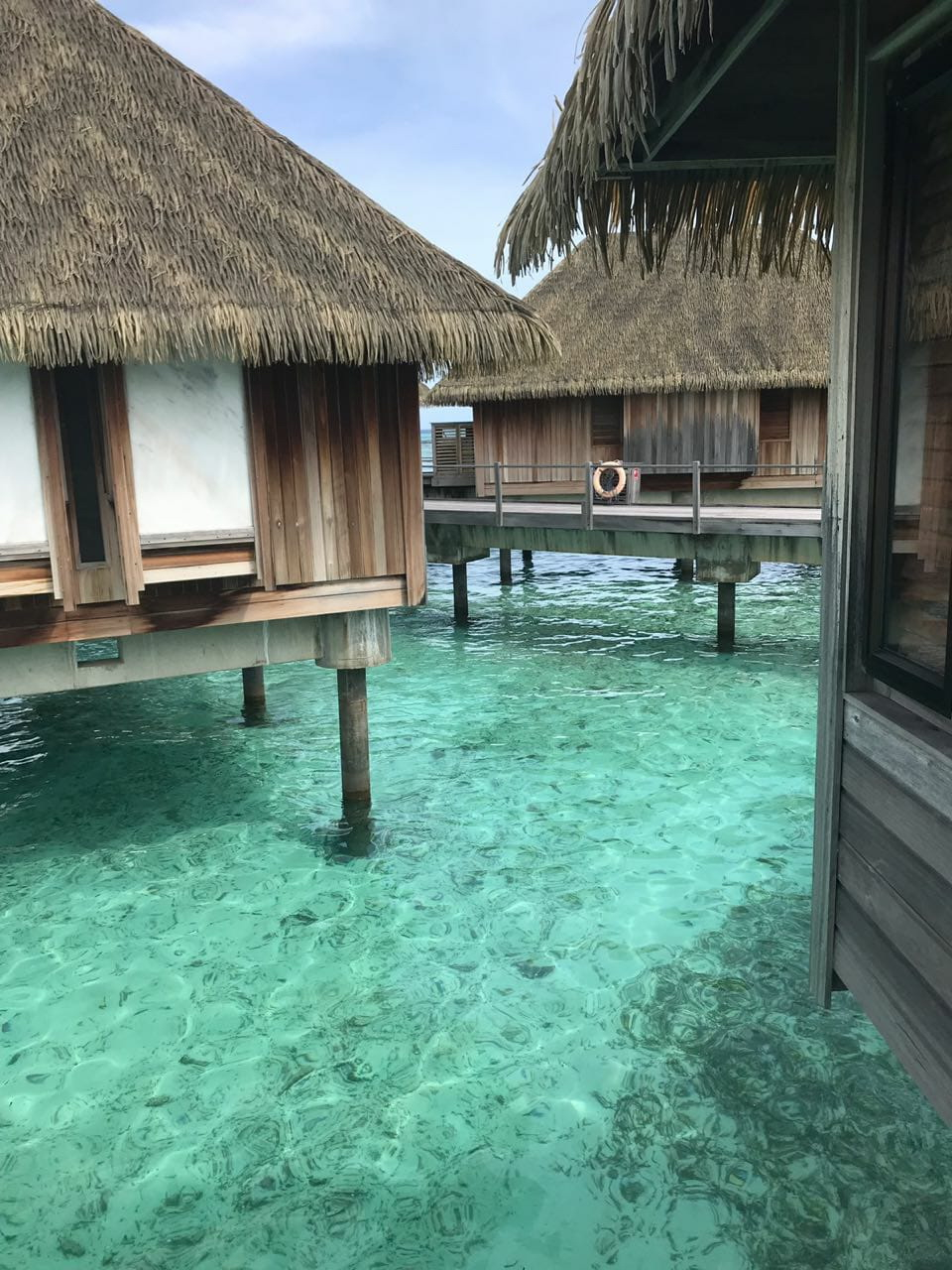 Club med - Рай каждый день