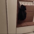 Отзыв о ООО «Бэст-Мебель»: Прихожая Харлей 23