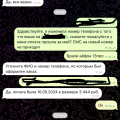 Отзыв о Pedant.Market: Благодаря самой компании образовалась просрочка платежа!