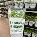 отзыв для Цветком