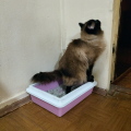 Наполнитель Fresh Step Extreme 6л