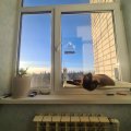Лучше прислушаться к знающим людям