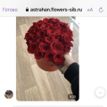 Ужасный сервис и компания