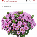 Не рекомендую