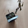 Не ведитесь на них, товар не качественный