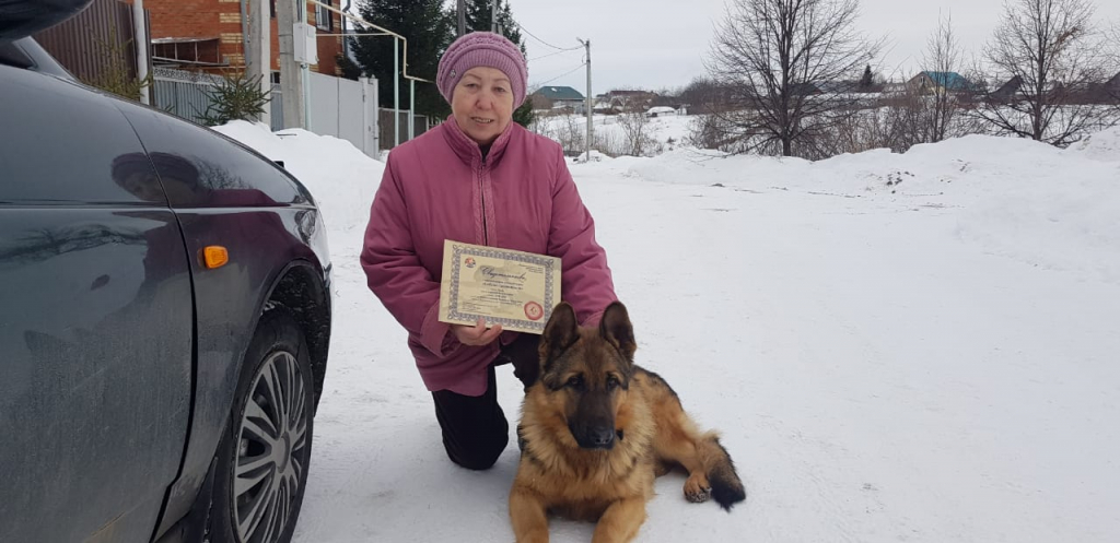 Школа дрессировки собак Akita Dog School - Akita Dog School официальное сообщение