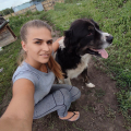 Отзыв о Школа дрессировки собак Akita Dog School: Дрессировка собак в Казани