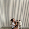 Отзыв о Школа дрессировки собак Akita Dog School: Обучение Буча, 99 из 100 баллов