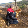 Школа дрессировки собак Akita Dog School-Реально работающая школа для собак