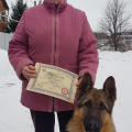 Отзыв о Школа дрессировки собак Akita Dog School: Akita Dog School официальное сообщение