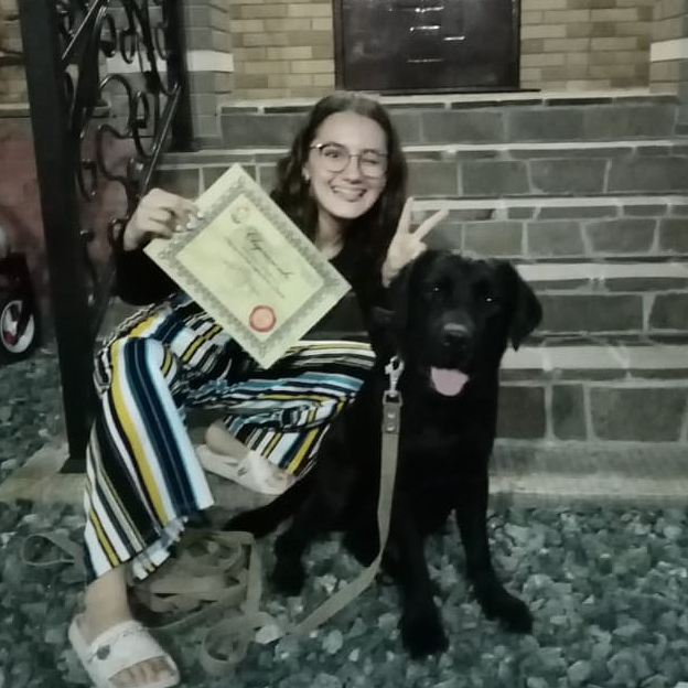 Школа дрессировки собак Akita Dog School - Akita Dog School официальное сообщение