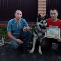 Отзыв о Школа дрессировки собак Akita Dog School: Akita Dog School официальное сообщение