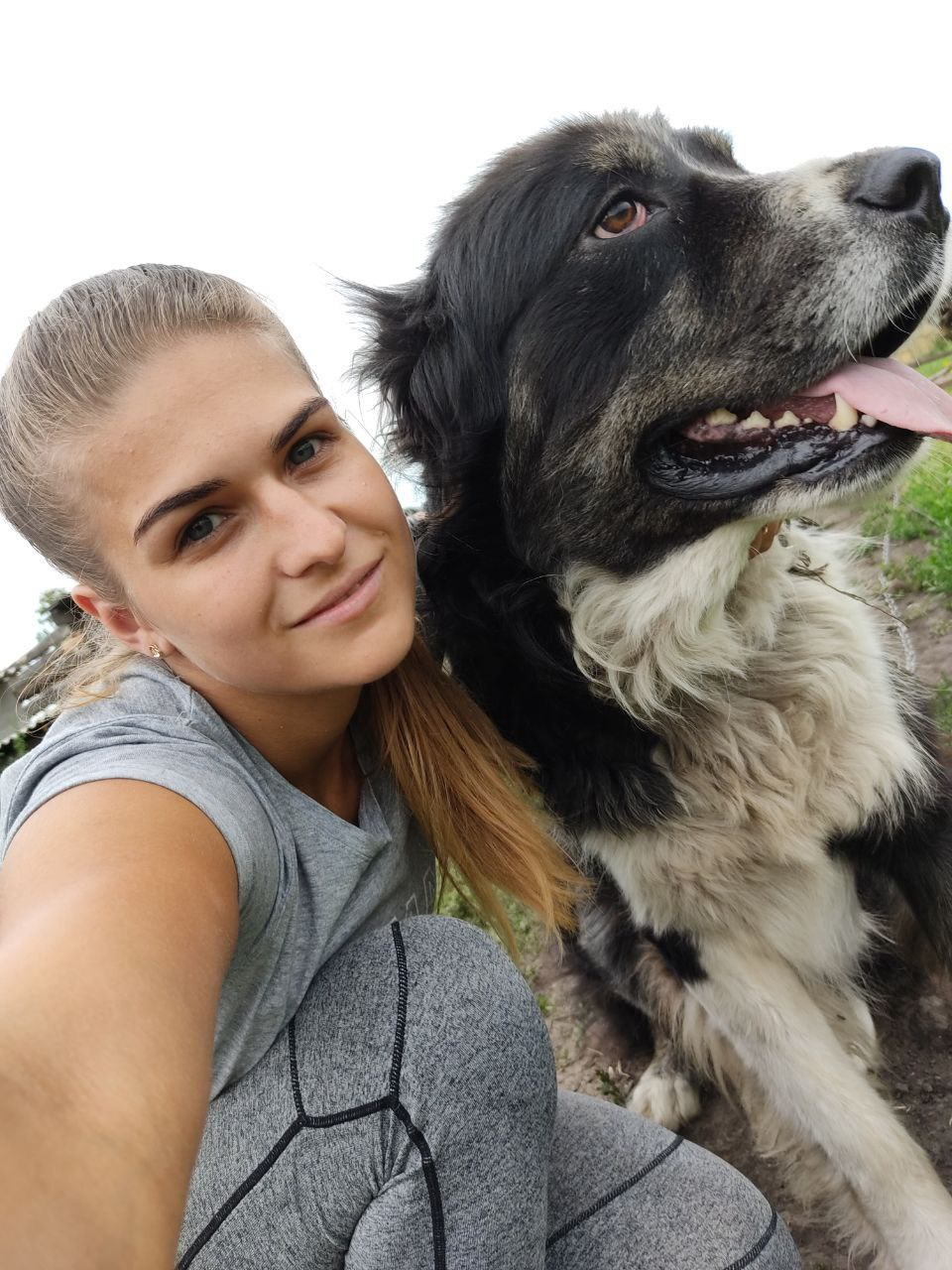 Школа дрессировки собак Akita Dog School - Дрессировка собак в Казани