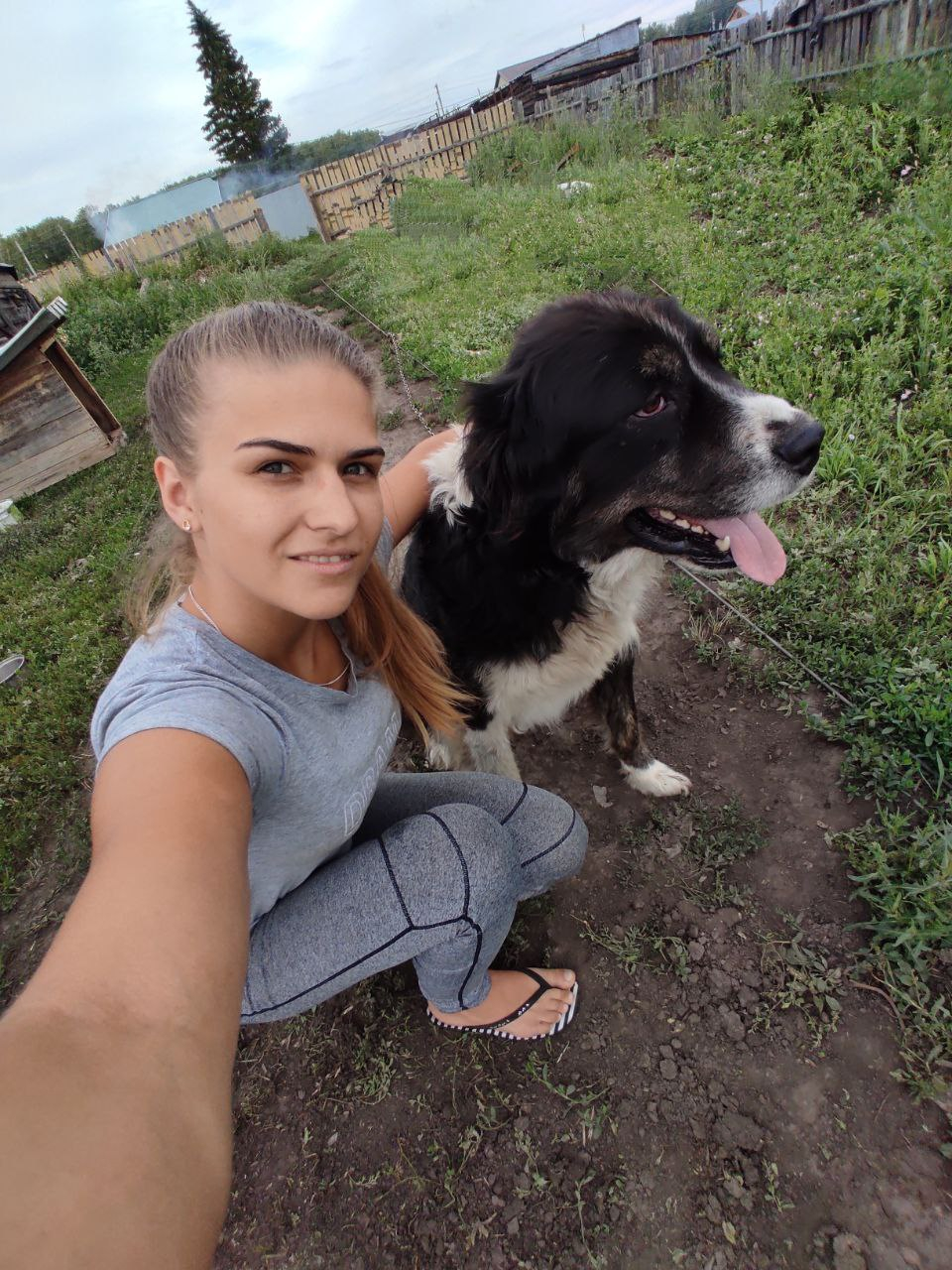 Школа дрессировки собак Akita Dog School - Дрессировка собак в Казани