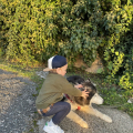 Отзыв о Школа дрессировки собак Akita Dog School: Привет от Семьи Громовых, наш ответ!