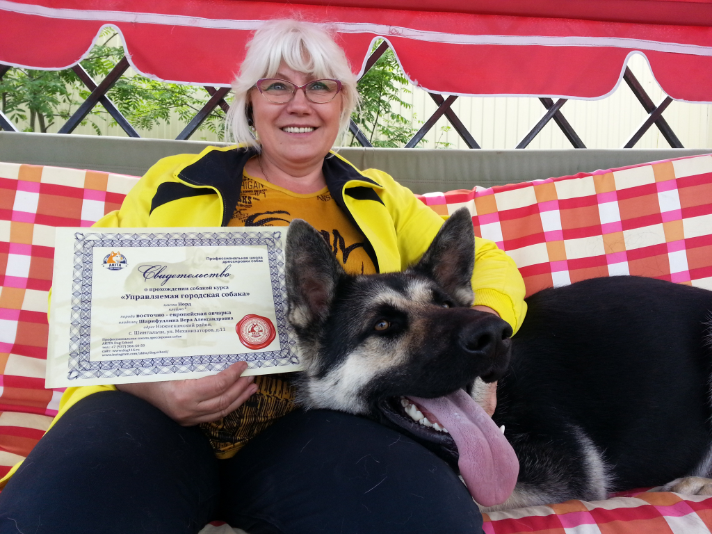 Школа дрессировки собак Akita Dog School - Akita Dog School официальное сообщение