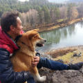 Школа дрессировки собак Akita Dog School-Реально работающая школа для собак