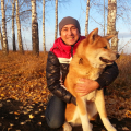 Школа дрессировки собак Akita Dog School-Реально работающая школа для собак