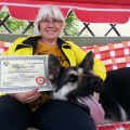 Отзыв о Школа дрессировки собак Akita Dog School: Akita Dog School официальное сообщение