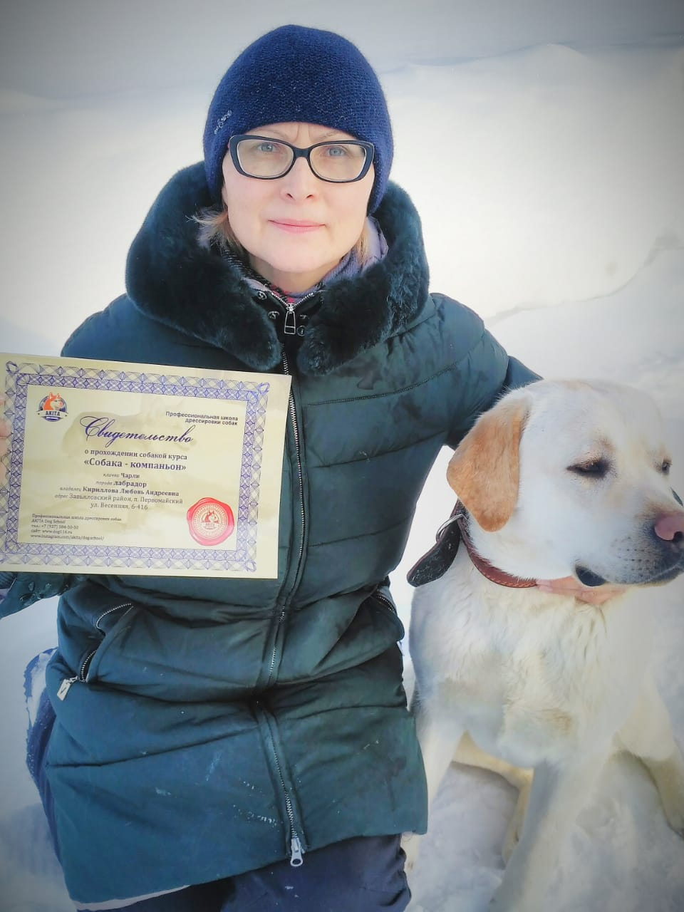 Школа дрессировки собак Akita Dog School - Akita Dog School официальное сообщение