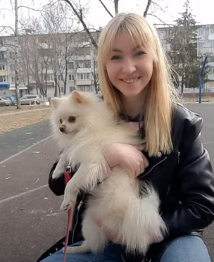 Школа дрессировки собак Akita Dog School - Профессиональная школа дрессировки собак Akita Dog School