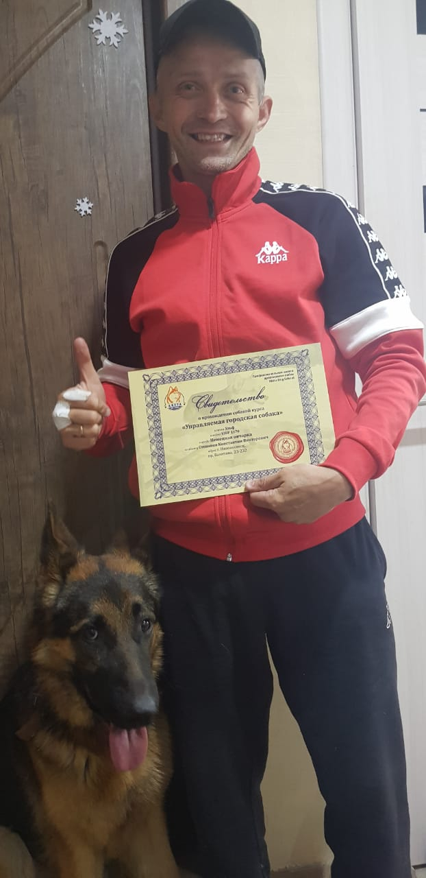 Школа дрессировки собак Akita Dog School - Akita Dog School официальное сообщение