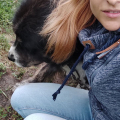 Дрессировка собак в Казани