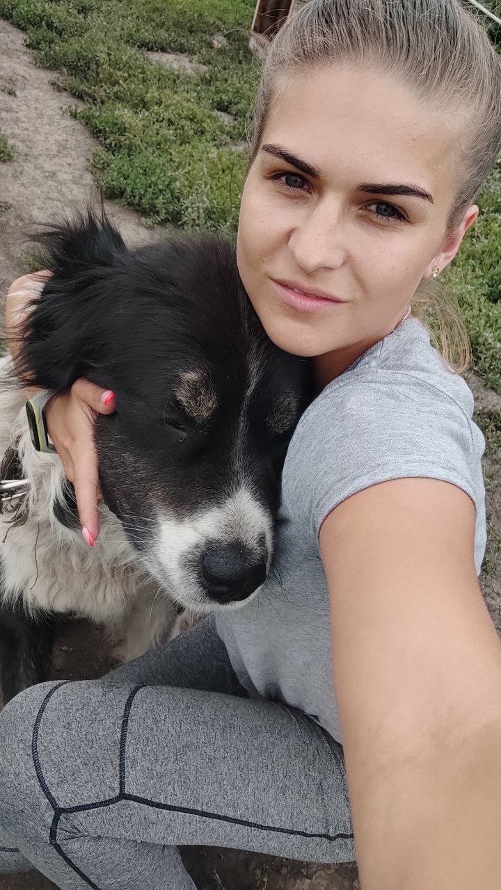 Школа дрессировки собак Akita Dog School - Дрессировка собак в Казани
