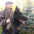 Отзыв о Школа дрессировки собак Akita Dog School: Привет из Города Менделеевск