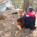 Школа дрессировки собак Akita Dog School-Реально работающая школа для собак