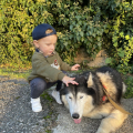 Отзыв о Школа дрессировки собак Akita Dog School: Привет от Семьи Громовых, наш ответ!